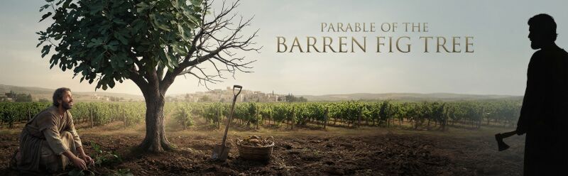Parable of the Barren Fig Tree illustration showing a gardener tending to a fig tree in a vineyard
